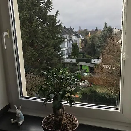 Flehe