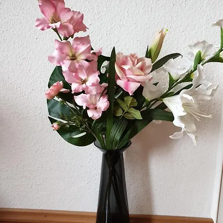 Flehe *